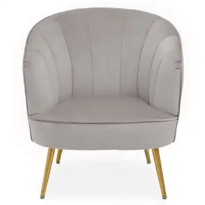 Yolanda Grey Velvet Chair