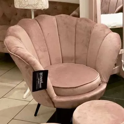 Monaco Brushed Velvet Shell Chair