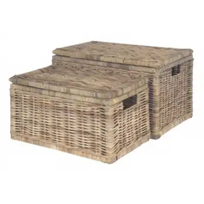 Grey Rattan Set of 2 Oblong Storage Chests