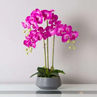 Mint Homeware Bright Pink Orchid in Light Grey Ceramic Pot 3 Stems