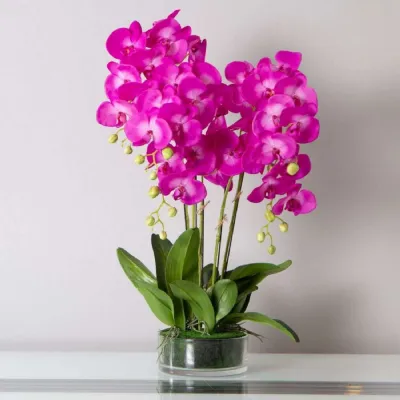 Mint Homeware Brighter Pink Orchid in Glass Pot 5 Stems