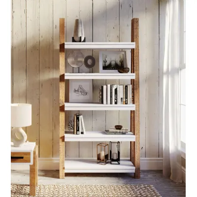Trinity Reclaimed Large Bookcase Open